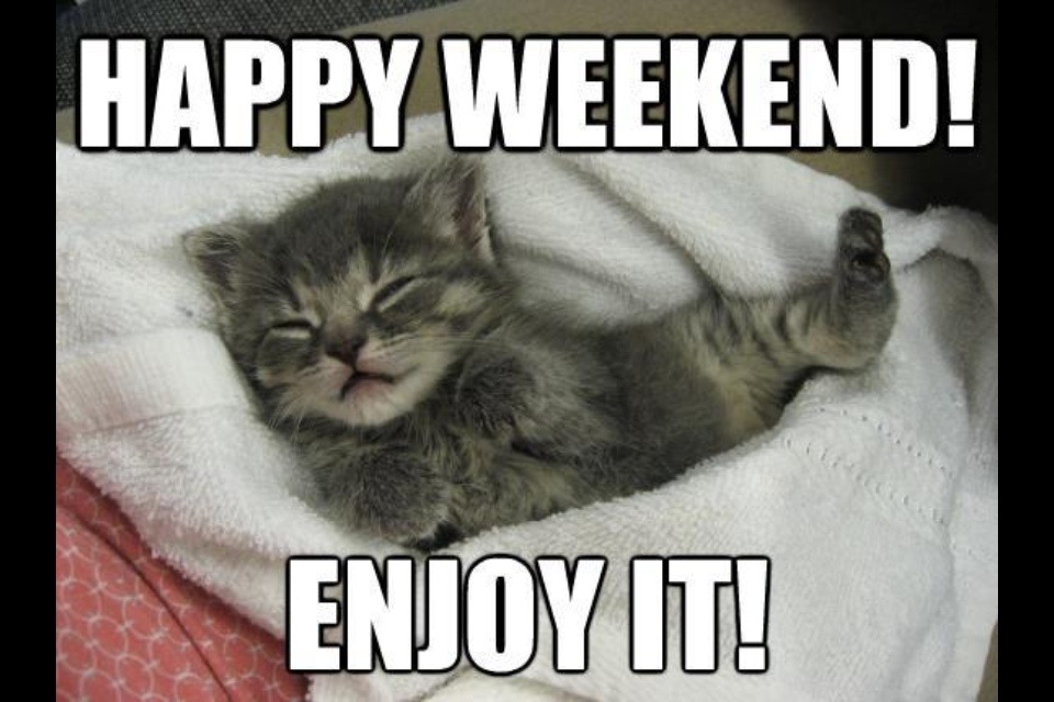 Image result for happy weekend cat images